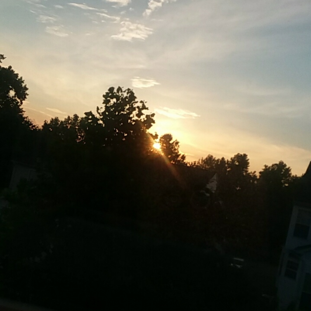 Meet your Posher, Cherish